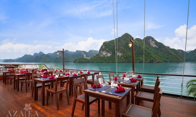 Orchid Trendy Cruise