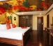 Indochine Cruise