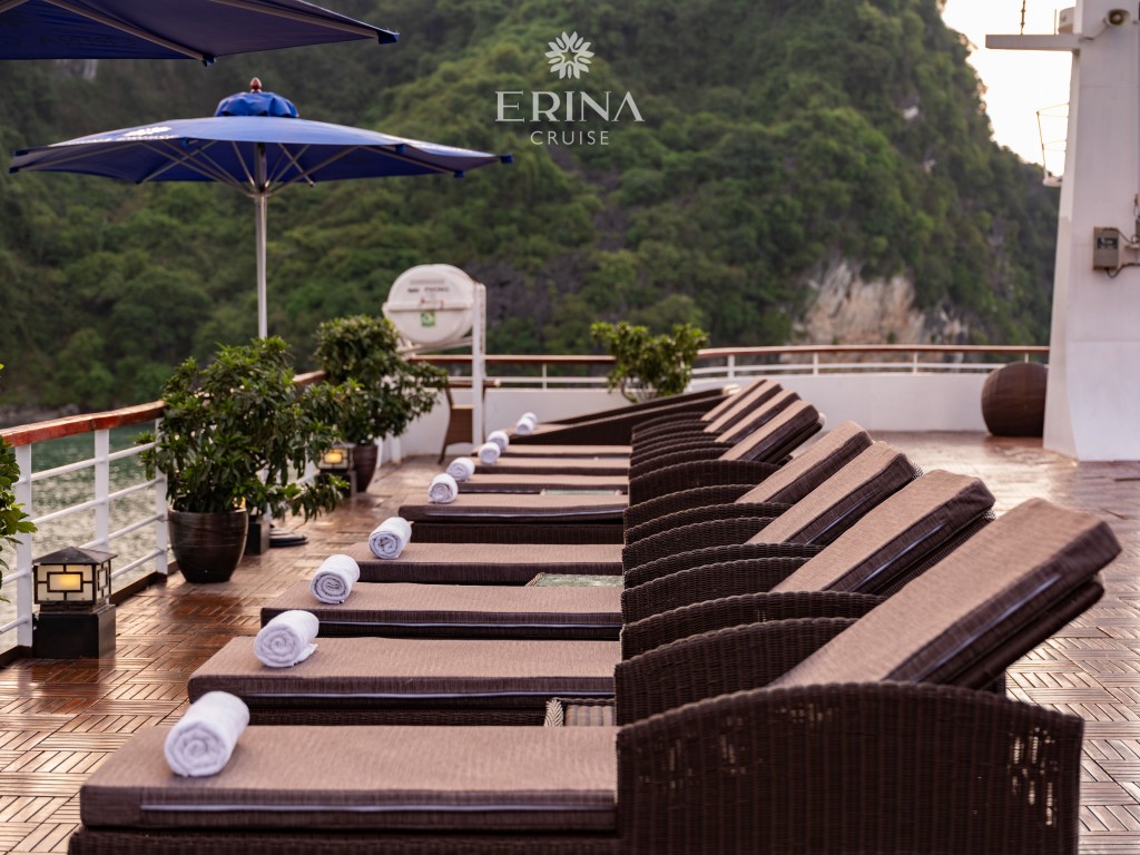 Erina Cruise