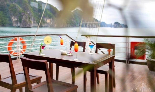 Orchid Trendy Cruise