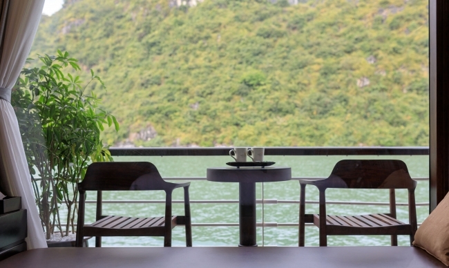 Orchid Trendy Cruise